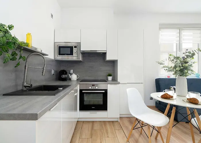 Bright Dzialynskich Near Old Town By Renters