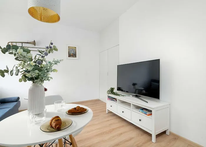 Bright Dzialynskich Near Old Town By Renters Poznan